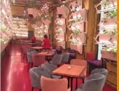 ��������� ��������� �� ������� ���������. - ������������ ������������, ������� ��������� �����-���������